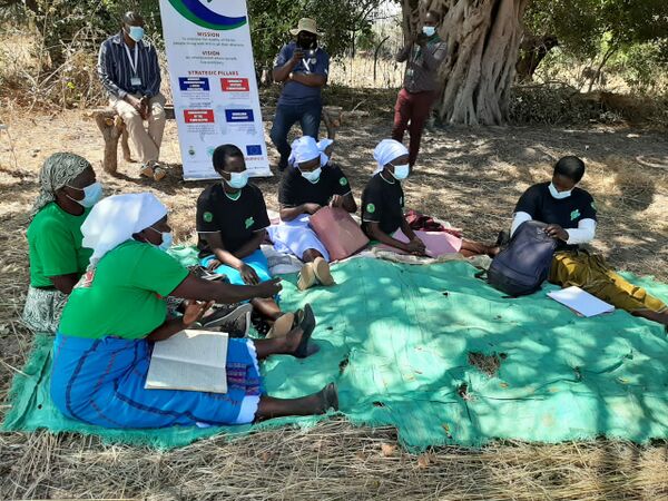 Susu Makombore 1.jpg